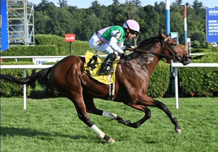 How Data and Technology Are Modernizing Horse Racing