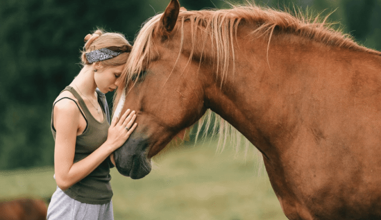 How Equine Therapy Helps Horses Recover