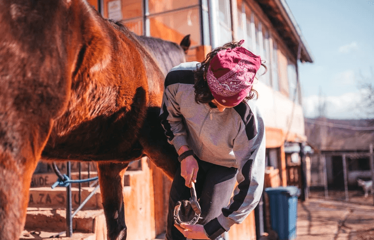 How Farrier Work Impacts a Horse’s Performance